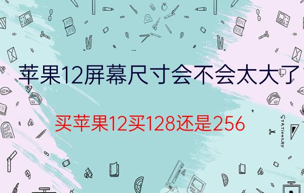 苹果12屏幕尺寸会不会太大了 买苹果12买128还是256？